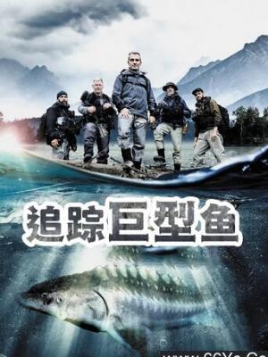 镜中怪物
